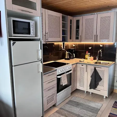 Chalet On The Shore Of Ivalojoki *