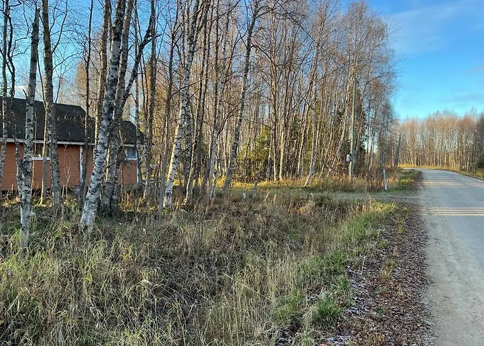 On The Shore Of Ivalojoki إيناري